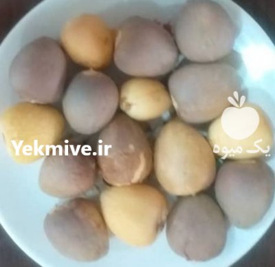 فروش هسته آووکادو تازه در اندیمشک در گروه خرید فروش بذر - انواع محصول کشاورزی گوجه کتان میوه درخت در یکمیوه -عکس1