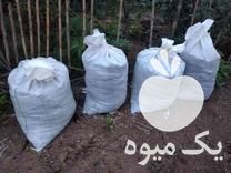فروش کود گاوی و گوسفندی کیسه ای در آق قلا در گروه خرید فروش کود و مواد شیمیایی - اوره پتاس مرغی کمپوست آهن در یکمیوه -عکس1