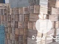 فروش 500 تا جعبه چوبی 20 کیلویی در آمل در گروه سورتینگ - بسته بندی میوه برنج پرتقال سیب زمینی حبوبات در یکمیوه -عکس1