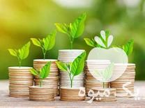 خرید و فروش و معاوضه زمین کشاورزی و ویلایی در ارومیه در گروه زمین کشاورزی - فروشی اجاره ای فروش دیم زراعی هکتار در یکمیوه -عکس1