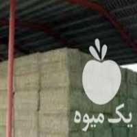 فروش یونجه کاه جو ذرت گندم سویا کنسانتره علوفه دام در تهران در گروه خوراک دام و طیور - پرواری شیری علوفه یونجه در یکمیوه