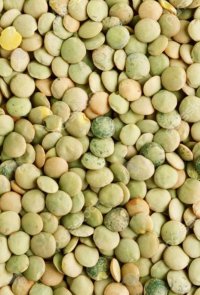 آگهی مشابه فروش عمده عدس در تبریز در گروه خرید فروش عمده غلات و حبوبات - لپه عدس نخود لوبیا در یکمیوه