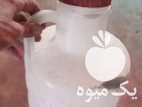 فروش 100 الی 200عدد دبه خیار شوری در آق قلا در گروه خرید فروش عمده خیار - بوته درختی سبز مجلسی شوری خاردار چنبر اصفهان در یکمیوه -عکس1