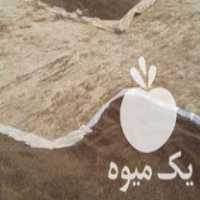 فروش اسپند یا اسفند  تخمه هندوانه در شیراز در گروه آجیل - فروش عمده محصولات در یکمیوه