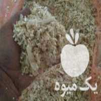 فروش خاک اره پوشال چوب ورنده در شیراز در گروه خرید فروش عمده چوب- زغال چوب گردو تبریزی خام در یکمیوه