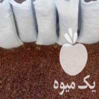 فروش هسته خرما ضایعات خرما در قم در گروه خرید فروش عمده خرما - کبکاب تازه زاهدی خشک خارک در یکمیوه