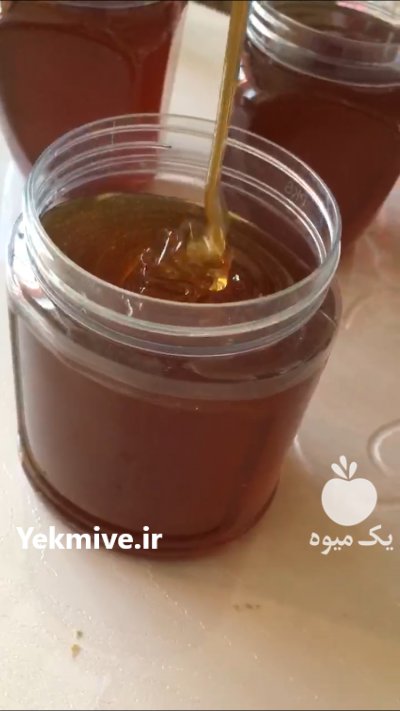 عسل تغذيه اي برداشت اول در سنندج در گروه عسل شیره و فرآورده ی مربا - طبیعی گون کوهی آویشن در یکمیوه -عکس2