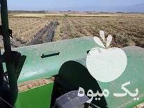 فروش کمباین چری 2017 در بهمن در گروه خرید فروش ماشین آلات کشاورزی - تراکتور تیلر کمباین مدرن در یکمیوه -عکس1