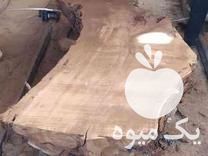 فروش اسلب کالباسی تنه درخت در تهران در گروه خرید فروش عمده توت - خرید شاتوت سفید طلایی موزی قرمز در یکمیوه -عکس1