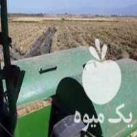 فروش کمباین چری 2017 در بهمن در گروه خرید فروش ماشین آلات کشاورزی - تراکتور تیلر کمباین مدرن در یکمیوه