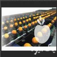 فروش تولید خط کامل انواع سورتینگ در مازندران در گروه واحد تولیدی - کشاورزی فرآوری بسته بندی کارتن تعاونی در یکمیوه