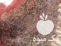فروش خارشتر با کاه قاطی در گلستان در گروه خوراک دام و طیور - پرواری شیری علوفه یونجه در یکمیوه -عکس1