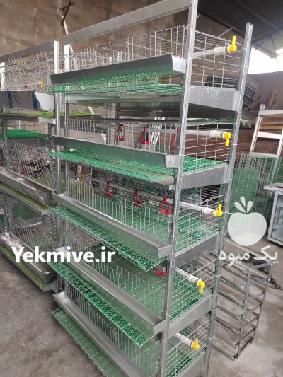 تولید کننده انواع قفس های تخصصی طیور در بابل  در گروه حیوانات خانگی - خرید و فروش در یکمیوه -عکس1