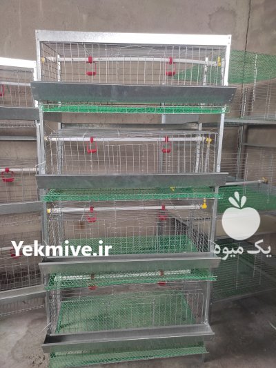 تولید کننده انواع قفس های تخصصی طیور در بابل  در گروه حیوانات خانگی - خرید و فروش در یکمیوه -عکس2