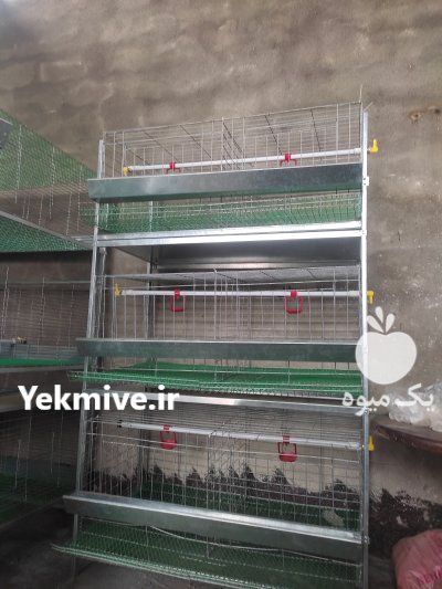 تولید کننده انواع قفس های تخصصی طیور در بابل  در گروه حیوانات خانگی - خرید و فروش در یکمیوه