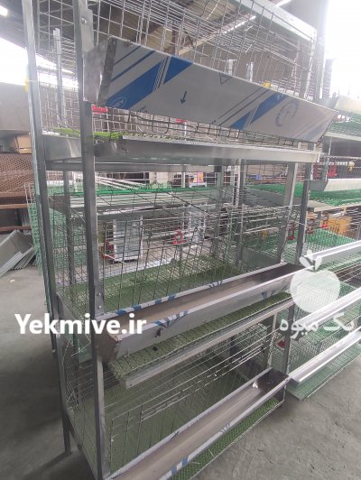 تولید کننده انواع قفس های تخصصی طیور در بابل  در گروه حیوانات خانگی - خرید و فروش در یکمیوه -عکس4