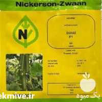 فروش بذر خیار شهاب در البرز در گروه خرید فروش بذر - انواع محصول کشاورزی گوجه کتان میوه درخت در یکمیوه