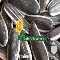 فروش پخش عمده انواع تخمه در تهران در گروه خرید فروش عمده آفتابگردان - تخمه خوی دیم گل در یکمیوه