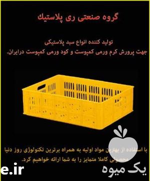 فروش سبدپلاستیکی پرورش کرم در تهران در گروه خرید فروش انواع سبد - میوه پلاستیکی چوبی گل در یکمیوه -عکس1