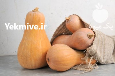 آگهی مشابه کدو حلوایی درجه یک (کولکه قانزالی) در بوکان در گروه خرید فروش عمده کدو تنبل - حلوایی سبز سفید نارنجی در یکمیوه