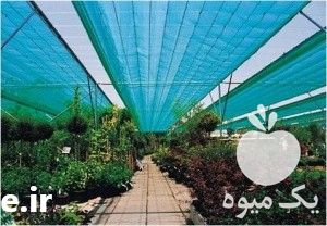 فروش توری سایبان در تهران در گروه خرید فروش تجهیزات گلخانه - صنعتی خانگی هوشمند دست دوم در یکمیوه -عکس1