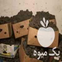 آگهی مشابه فروش ذغال انگور در تهران در گروه خرید فروش عمده چوب- زغال چوب گردو تبریزی خام در یکمیوه