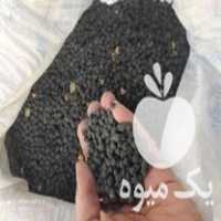 فروش نخود سیاه و زرد در بجنورد در گروه خرید فروش عمده نخود - فرنگی خام سبز فروش عمده در یکمیوه