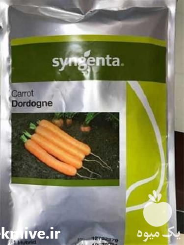 فروش بذر هویج دوردوگن در تهران در گروه خرید فروش بذر - انواع محصول کشاورزی گوجه کتان میوه درخت در یکمیوه -عکس1