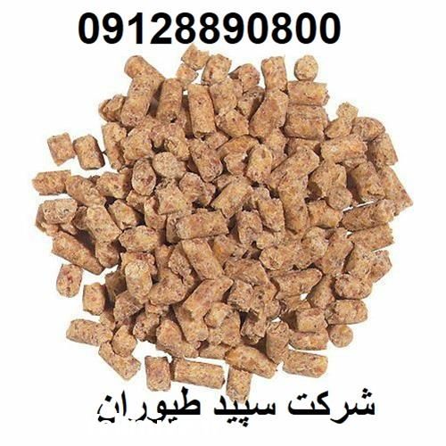 قیمت فروش استارتر بوقلمون و کنساتره طیور در تهران در گروه مرغ و خروس و بوقلمون و اردک قو قاز در یکمیوه -عکس1