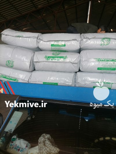 ذرت علوفه بسته بندی پهلوان در کرمان  در گروه خوراک دام و طیور - پرواری شیری علوفه یونجه در یکمیوه -عکس2