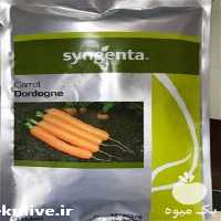 فروش بذر هویج دوردوگن در تهران در گروه خرید فروش بذر - انواع محصول کشاورزی گوجه کتان میوه درخت در یکمیوه