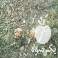 فروش یونجه و ذرت علوفه در میاندوآب در گروه خوراک دام و طیور - پرواری شیری علوفه یونجه در یکمیوه