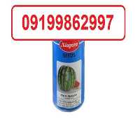 خرید بذر هندوانه نیاگارا در یزد در گروه خرید فروش بذر - انواع محصول کشاورزی گوجه کتان میوه درخت در یکمیوه