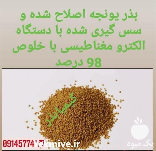 فروش بذر یونجه اصلاح شده و سموم کشاورزی در تهران در گروه خرید فروش بذر - انواع محصول کشاورزی گوجه کتان میوه درخت در یکمیوه -عکس1