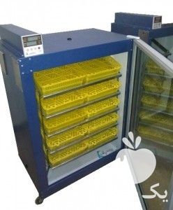 فروش جوجه کشی غاز در تهران در گروه تجهیزات دام و طیور - خرید فروش نو دسته دوم در یکمیوه -عکس1