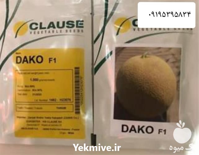 فروش عرضه بذر ملون هیبرید در هرمز در گروه خرید فروش بذر - انواع محصول کشاورزی گوجه کتان میوه درخت در یکمیوه -عکس1