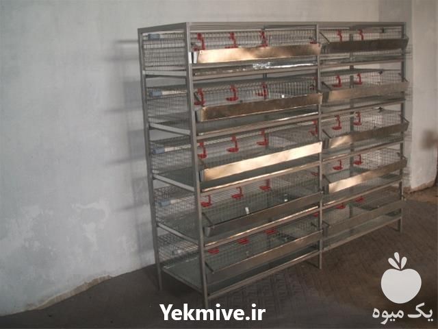 فروش دستگاه های جوجه کشی در تهران در گروه تجهیزات دام و طیور - خرید فروش نو دسته دوم در یکمیوه -عکس1