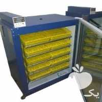 فروش جوجه کشی غاز در تهران در گروه تجهیزات دام و طیور - خرید فروش نو دسته دوم در یکمیوه