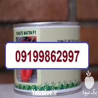 فروش بذر گوجه فرنگی متین در سمنان در گروه خرید فروش بذر - انواع محصول کشاورزی گوجه کتان میوه درخت در یکمیوه