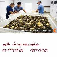 فروش قیمت روز بلدرچین مولد در تهران در گروه خرید فروش سایر محصولات تجهیزات کشاورزی در یکمیوه