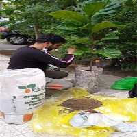 تعویض خاک و گلدان در تهران در گروه خرید فروش عمده گیاهان زینتی - گرمسیری آپارتمانی باغچه آب در یکمیوه