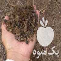 فروش کود حیوانی خشک در مازندران در گروه خوراک دام و طیور - پرواری شیری علوفه یونجه در یکمیوه