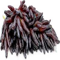 فروش نهال انگور شمشیری در بوشهر در گروه خرید فروش نهال - انواع گردو پسته بادام سلطانی انگور در یکمیوه