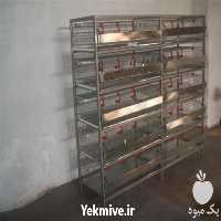 فروش دستگاه های جوجه کشی در تهران در گروه تجهیزات دام و طیور - خرید فروش نو دسته دوم در یکمیوه