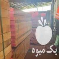 فروش واردات راش و توسکا در ملایر در گروه خرید فروش عمده چوب- زغال چوب گردو تبریزی خام در یکمیوه
