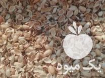 خرید انواع پوست پسته پوک در رفسنجان در گروه پسته - کوهی شامی خام اکبری تازه کله قوچی در یکمیوه -عکس1