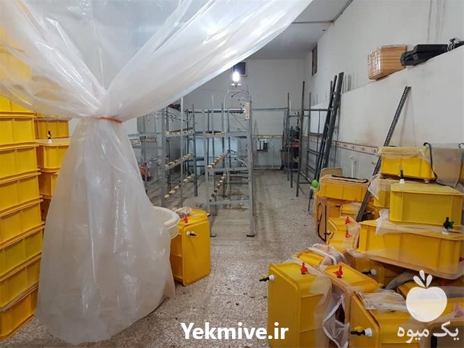 فروش دوره آموزش پرورش زالو در تهران در گروه مشاوره - راه اندازی بازاریابی کسب درآمد بهبود کسب و کار در یکمیوه -عکس1