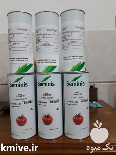 فروش بذر گوجه فرنگی 8320 در همدان در گروه خرید فروش بذر - انواع محصول کشاورزی گوجه کتان میوه درخت در یکمیوه -عکس1