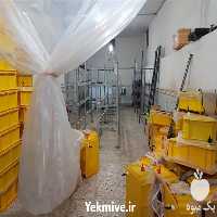 فروش دوره آموزش پرورش زالو در تهران در گروه مشاوره - راه اندازی بازاریابی کسب درآمد بهبود کسب و کار در یکمیوه