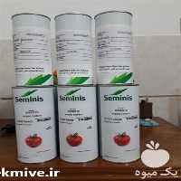 فروش بذر گوجه فرنگی 8320 در همدان در گروه خرید فروش بذر - انواع محصول کشاورزی گوجه کتان میوه درخت در یکمیوه